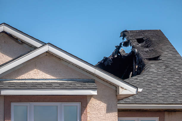 Top rated local Fire Damage Assessment specialists in Howard Lake, MN